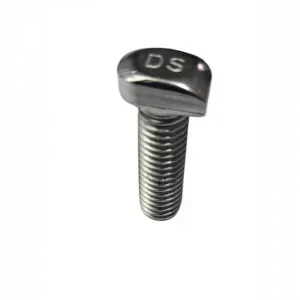 Tornillo fijación carril R23 M8*25 sin arandela ni tuerca